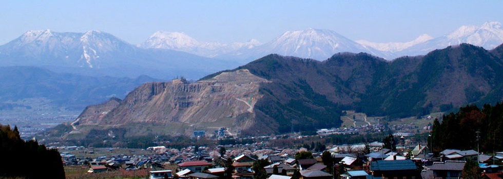 観光案内